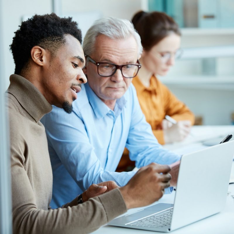 People working over online presentation